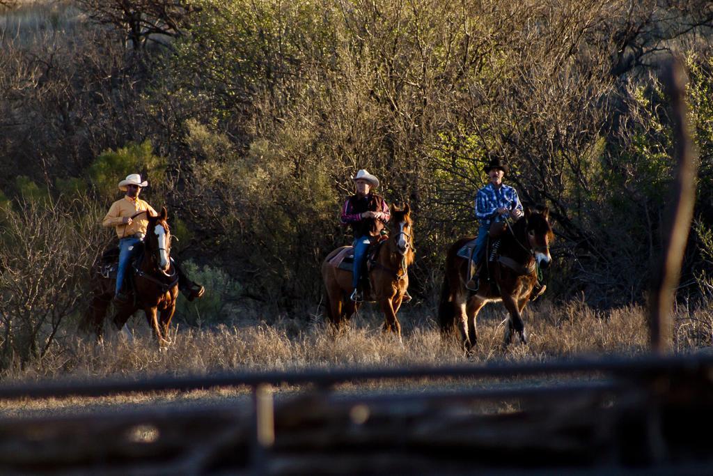 Rancho De La Osa Guest Ranch Hotel Sasabe Ngoại thất bức ảnh