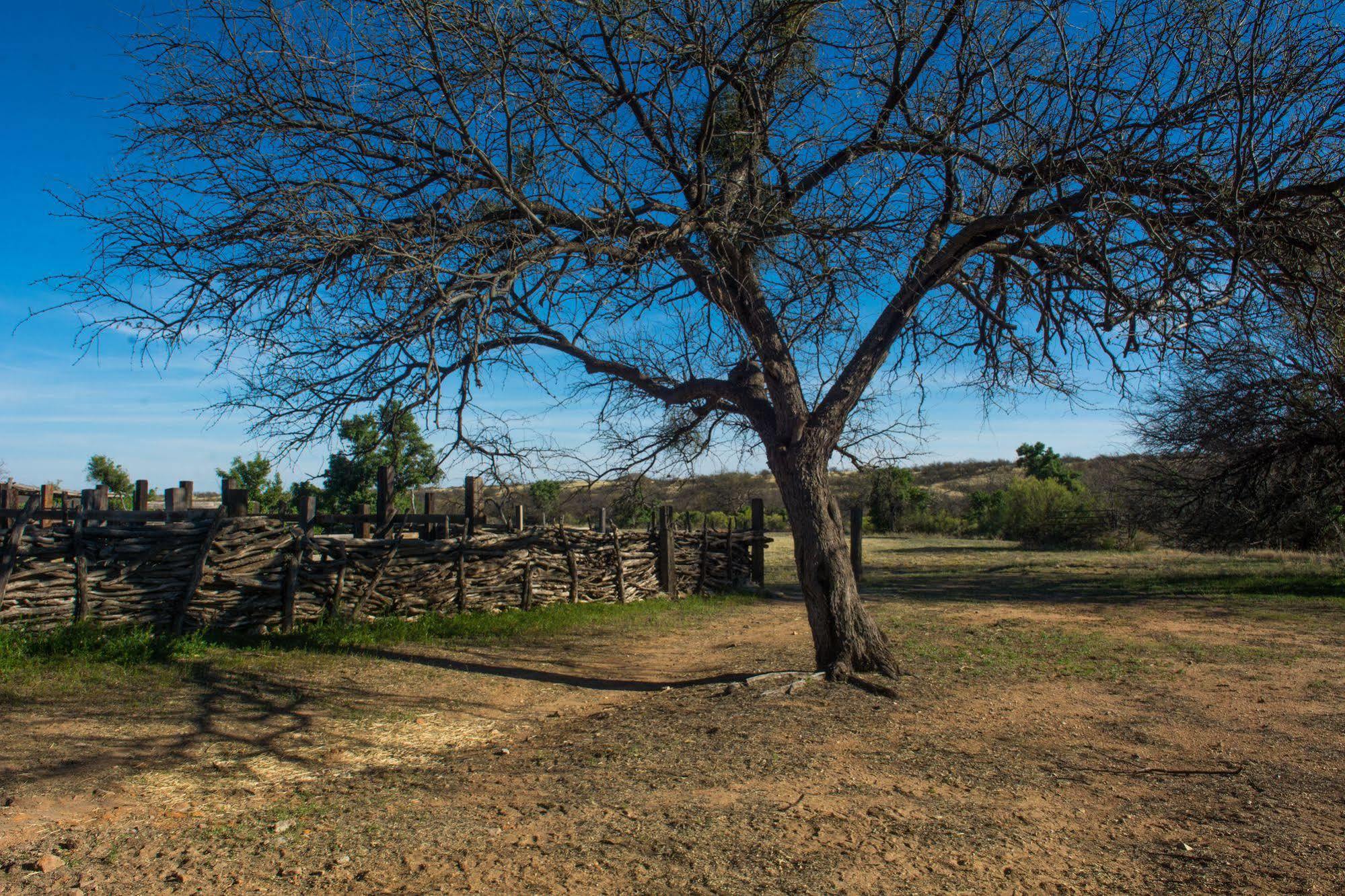 Rancho De La Osa Guest Ranch Hotel Sasabe Ngoại thất bức ảnh
